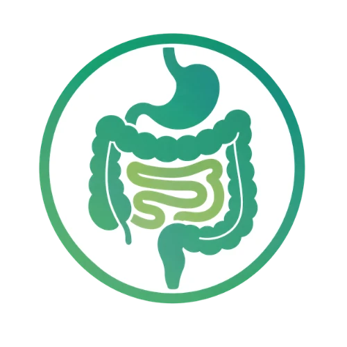 Sistema intestinal, microbiota y nutrición vegana